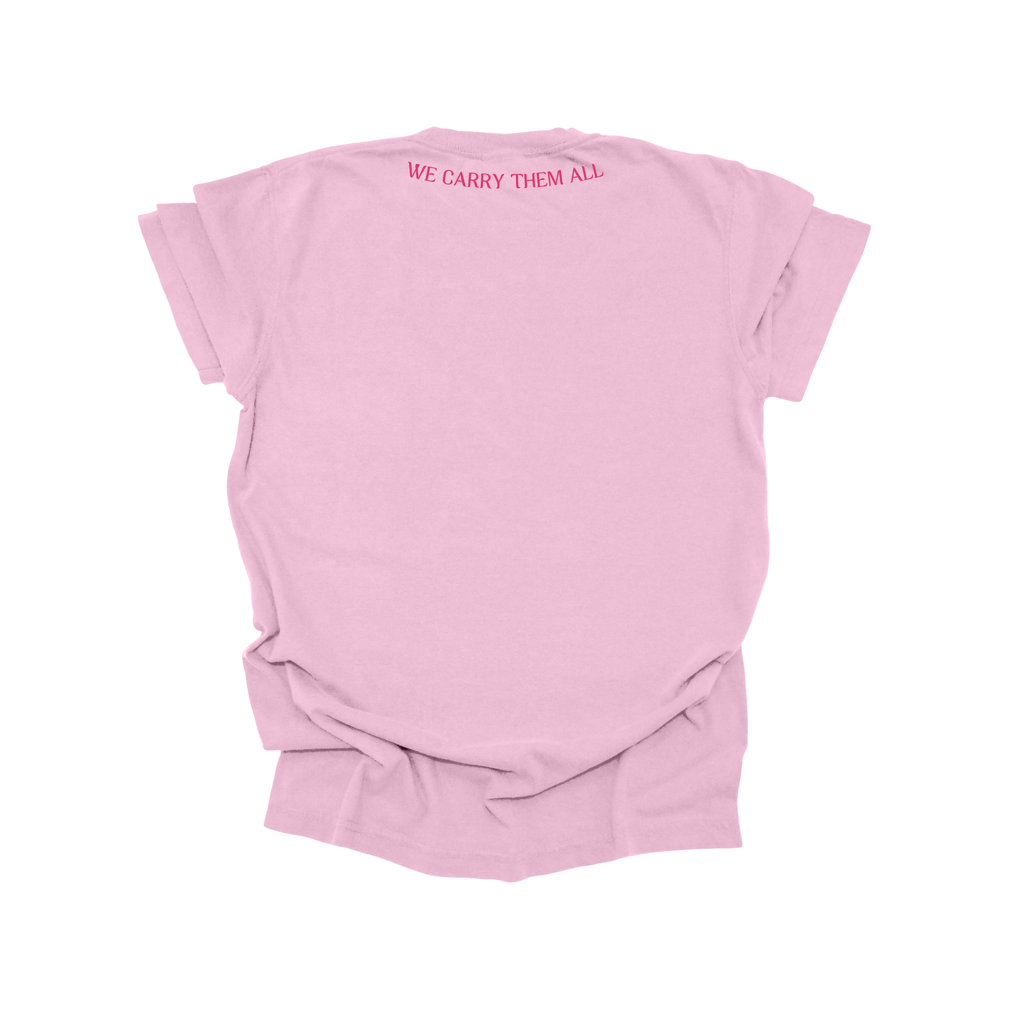 WE CARRY THEM ALL TEE